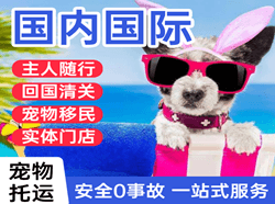 奇台江布拉克机场邮寄国际宠物托运 【国